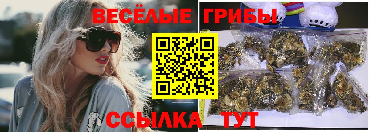 Псилоцибиновые грибы Psilocybine cubensis  Вход с VPN  Новокубанск 
