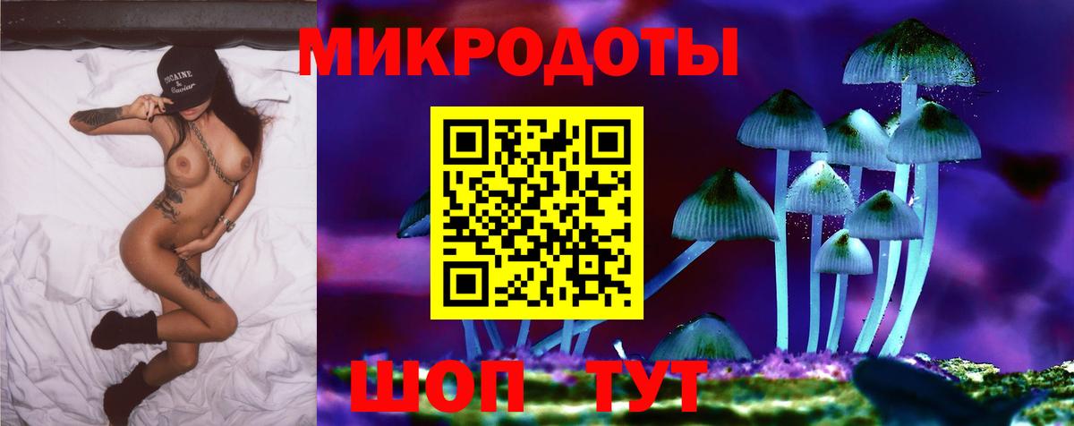 Галлюциногенные грибы мицелий Новокубанск